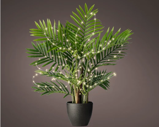 January Sale 50% Off